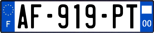 AF-919-PT