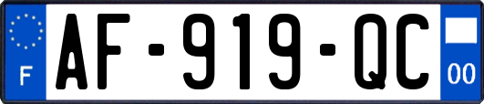 AF-919-QC