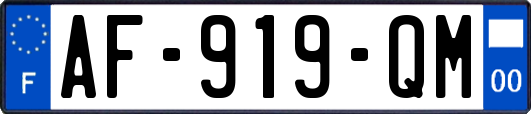 AF-919-QM