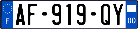 AF-919-QY