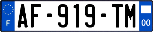 AF-919-TM