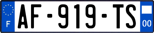 AF-919-TS
