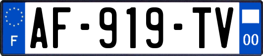 AF-919-TV