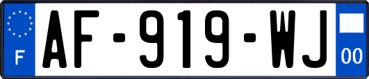 AF-919-WJ