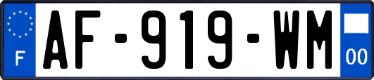 AF-919-WM