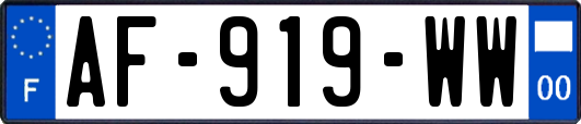 AF-919-WW