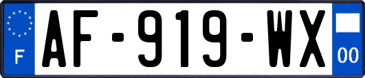AF-919-WX