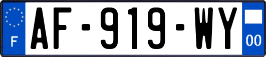 AF-919-WY