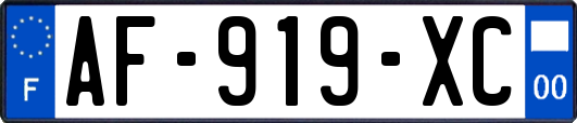 AF-919-XC