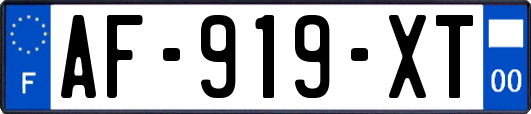 AF-919-XT
