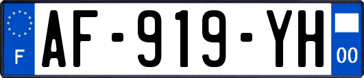 AF-919-YH