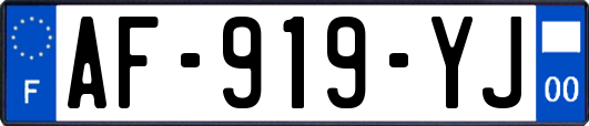 AF-919-YJ