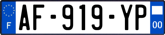 AF-919-YP