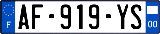 AF-919-YS