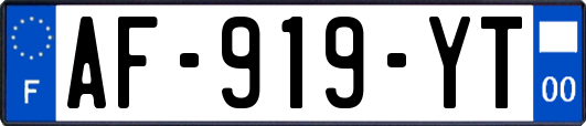AF-919-YT