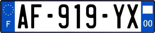 AF-919-YX
