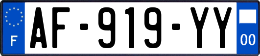 AF-919-YY