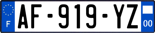 AF-919-YZ