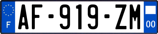 AF-919-ZM