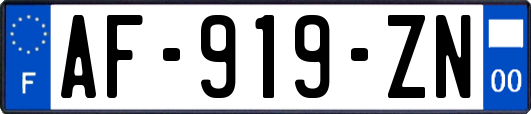 AF-919-ZN