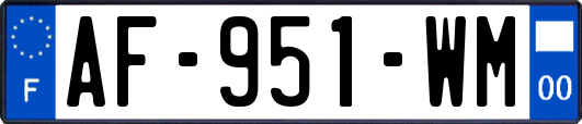AF-951-WM