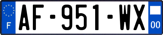 AF-951-WX