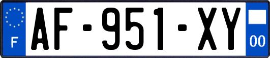 AF-951-XY