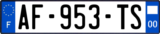 AF-953-TS