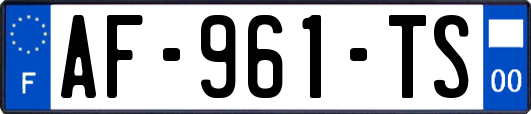 AF-961-TS