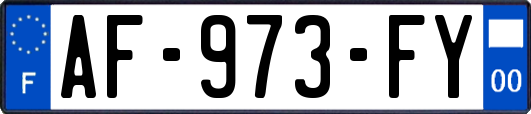 AF-973-FY