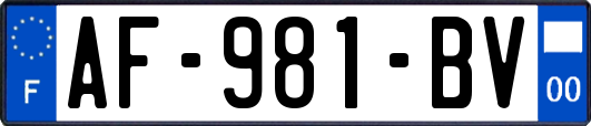 AF-981-BV