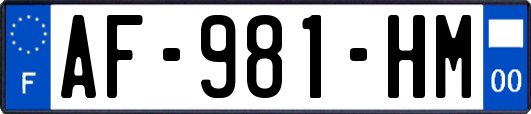 AF-981-HM
