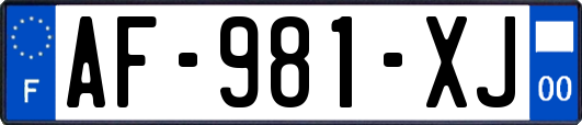 AF-981-XJ