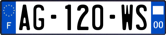 AG-120-WS