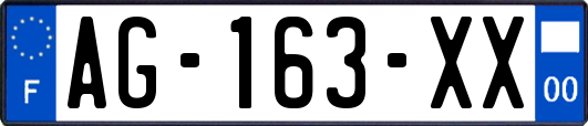 AG-163-XX