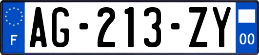 AG-213-ZY