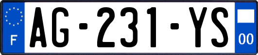 AG-231-YS