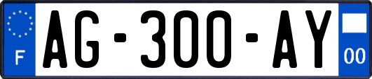 AG-300-AY