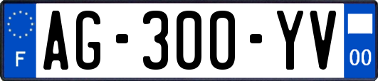 AG-300-YV