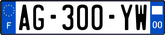 AG-300-YW