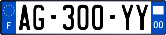 AG-300-YY