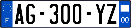 AG-300-YZ