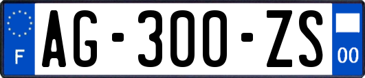 AG-300-ZS