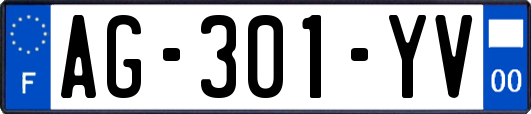 AG-301-YV