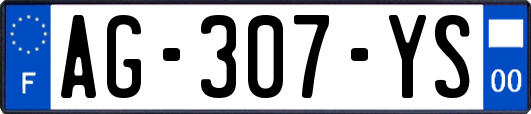 AG-307-YS