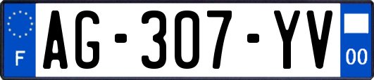 AG-307-YV