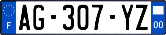 AG-307-YZ