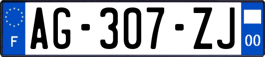 AG-307-ZJ