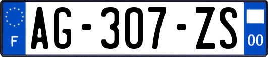 AG-307-ZS