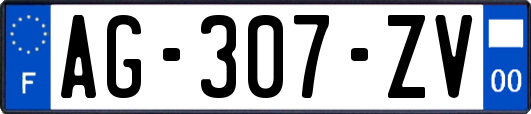 AG-307-ZV